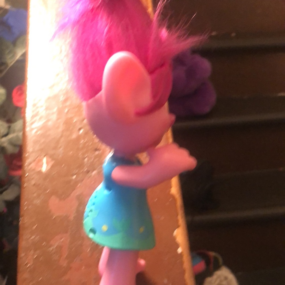 Poppy - Picture 3 of 6